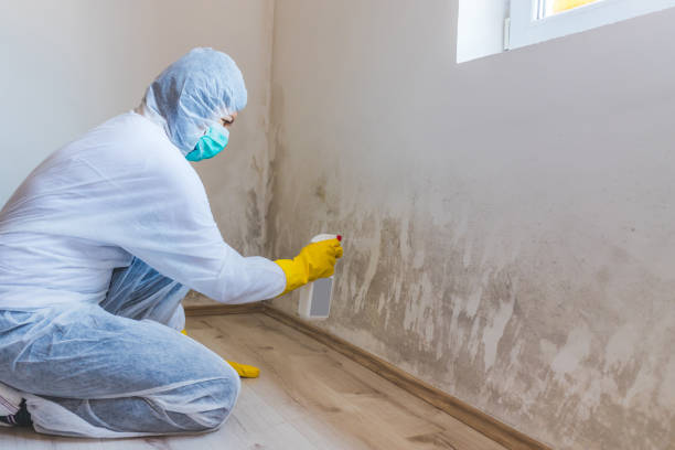 Mold Remediation specialist working in Floral Park