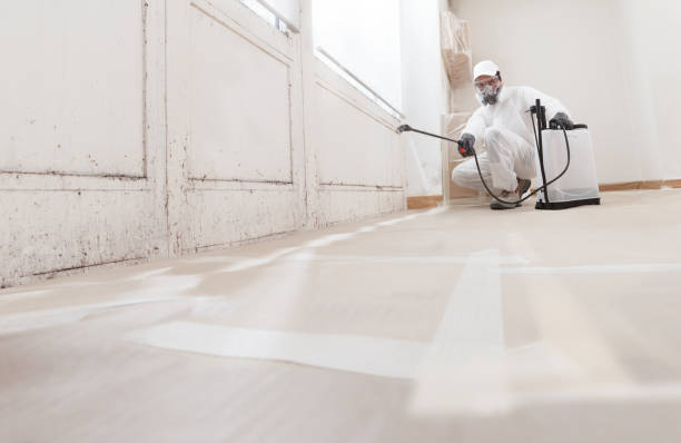 Black mold remediation team in Floral Park